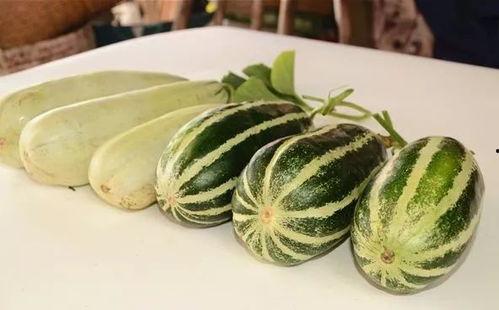 网红吃瓜资料免费