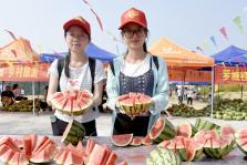 吃瓜爆料广西情侣,甜蜜瞬间曝光！